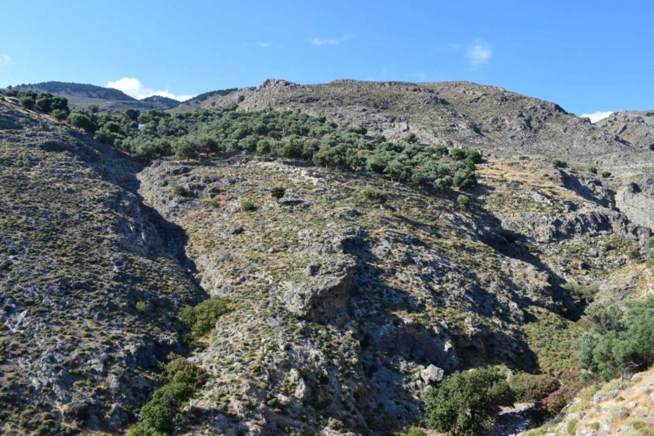 Mesohori Studios سفاكيا المظهر الخارجي الصورة
